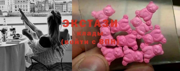 амф Гусев