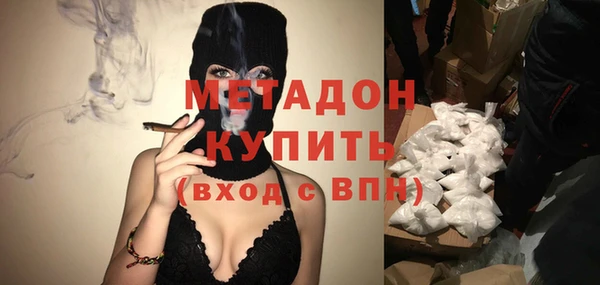прущие грибы Дмитровск