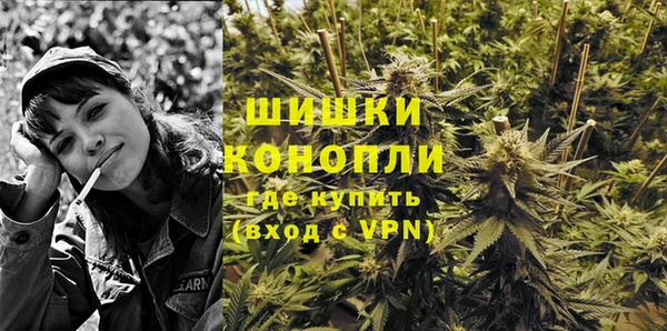 амф Гусев