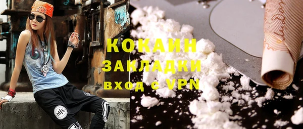 амф Гусев
