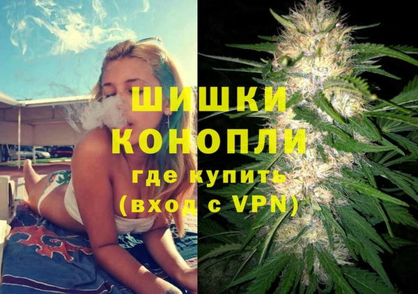 прущие грибы Дмитровск