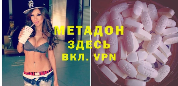 прущие грибы Дмитровск