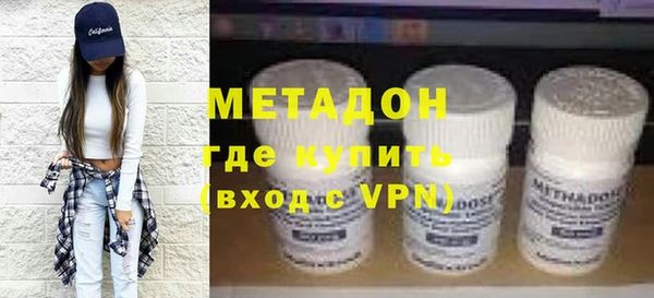 прущие грибы Дмитровск