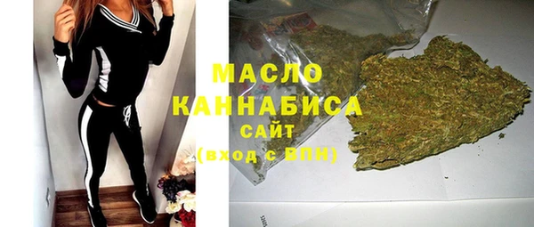 амф Гусев