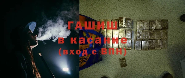 амф Гусев