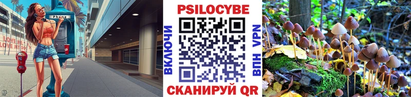 Псилоцибиновые грибы мицелий  Купить  Ясный 